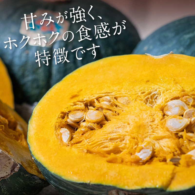 【先行予約】みやこかぼちゃ約9kg 北海道森町産 （令和8年7月下旬～8月上旬順次配送） ＜こうのファーム＞ カボチャ 南瓜 野菜 根菜 煮物 食材 スープ サラダ かぼちゃプリン 天ぷら 北海道 森町 ふるさと納税 mr1-1417