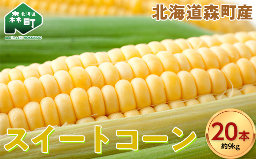 スイートコーンイエロー Lサイズ 20本 北海道森町産 （令和8年7月下旬から順次発送予定） ＜こうのファーム＞ とうもろこし トウモロコシ とうきび トウキビ 唐黍 mr1-1415