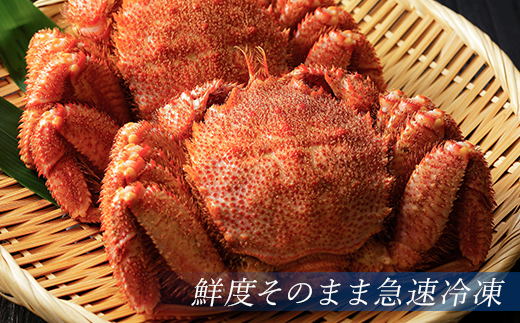 蛹玲オキ驕薙サ蝎エ轣ォ貉セ逕」 蜀キ蜃阪懊う繝ォ豈帙ぎ繝 400g蜑榊セ古4蟆セシ懈オキ魄ョ蝠丞ア九譬ェ蠑丈シ夂、セ縲迹槫ョ晢シ 縺九↓ 繧ォ繝 陝ケ 繧ャ繝 縺後↓ 譽ョ逕コ 縺オ繧九&縺ィ邏咲ィ 蛹玲オキ驕 豈幄淹 豈帙°縺ォ 豈帙ぎ繝 豈帙き繝 mr1-0950