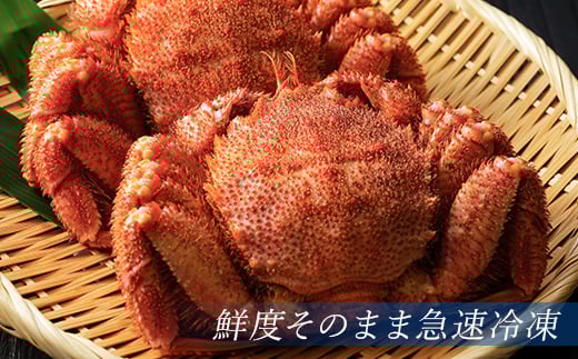 北海道・噴火湾産冷凍ボイル毛ガニ400g前後×3尾＜海鮮問屋　株式会社　瑞宝＞ かに カニ 蟹 ガニ がに 森町 ふるさと納税 北海道 毛蟹 毛かに 毛ガニ 毛カニ mr1-0952
