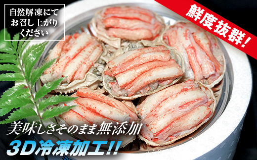 【北海道森町産】ずわい蟹甲羅盛（約70g×6個入） ＜上平水産＞ かに カニ 蟹 ガニ がに ズワイカニ ズワイ蟹 ズワイカニ ズワイガニ 森町 ふるさと納税 北海道 甲羅盛り mr1-0133