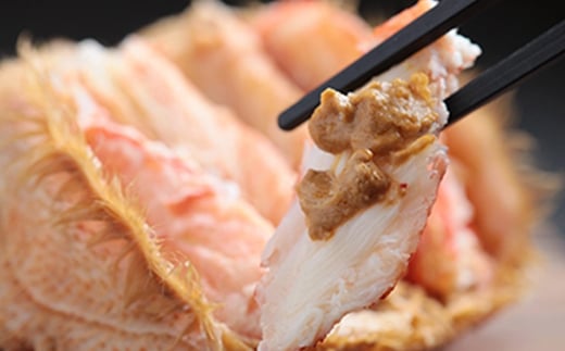 650gååŸÃ2å°Ÿ æµãã§æ¯è¹ ãåæµ·éäžç¹åããã¯ã€ãšã¹ããŒãºã ãã« ã«ã è¹ ã¬ã ãã« æ£®çº ãµãããšçŽçš åæµ·é æ¯è¹ æ¯ãã« æ¯ã¬ã æ¯ã«ã mr1-0426