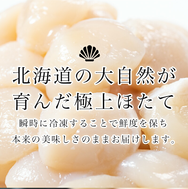 北海道産冷凍ホタテ貝柱大（500g×2パック）「1kg」 ＜ワイエスフーズ＞ 小分け チャック付き 海鮮丼 森町 魚貝類 帆立 ホタテ ほたて 魚介類 貝 ふるさと納税 北海道 訳あり mr1-0747