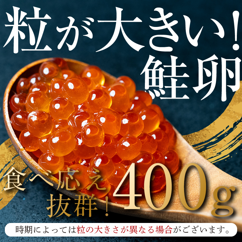 【先行予約】北海道産 鮭 いくら 小分け 400g（100g×4）10月中旬以降順次発送 ＜海鮮問屋　株式会社　瑞宝＞ いくら醤油漬け いくら イクラ しょうゆ漬け 海産物 加工品 森町 ふるさと納税 北海道 mr1-0567