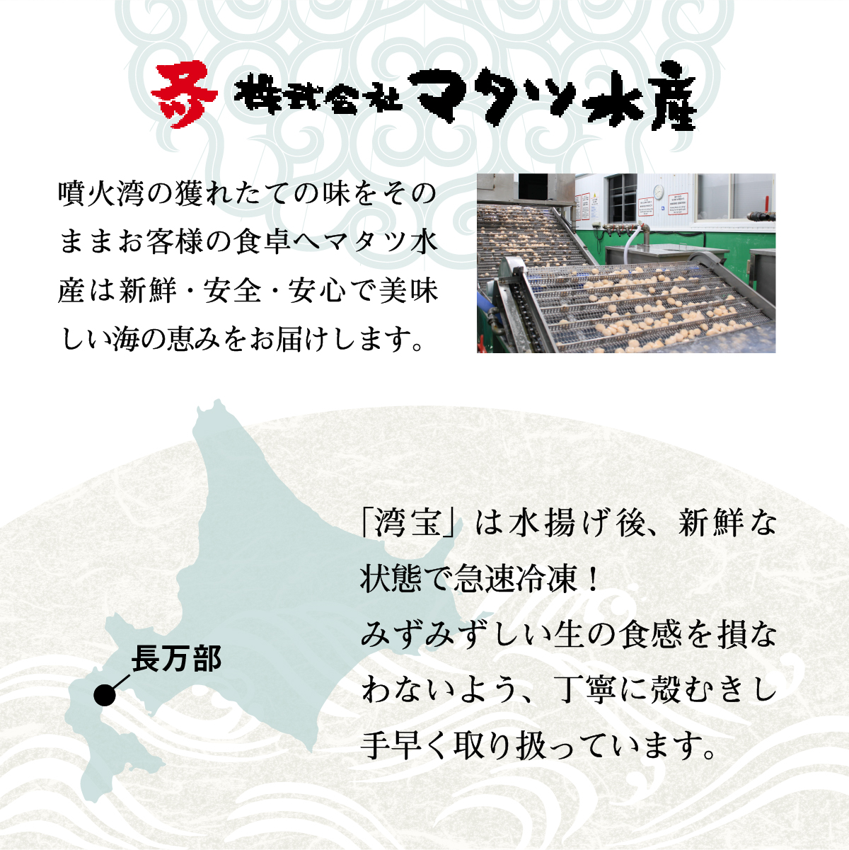 中国禁輸措置生産地緊急支援品】北海道 長万部産 ホタテ貝柱「湾宝