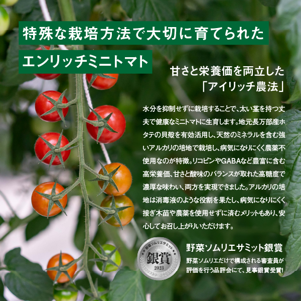 エンリッチミニトマトセット３箱セット【070002】