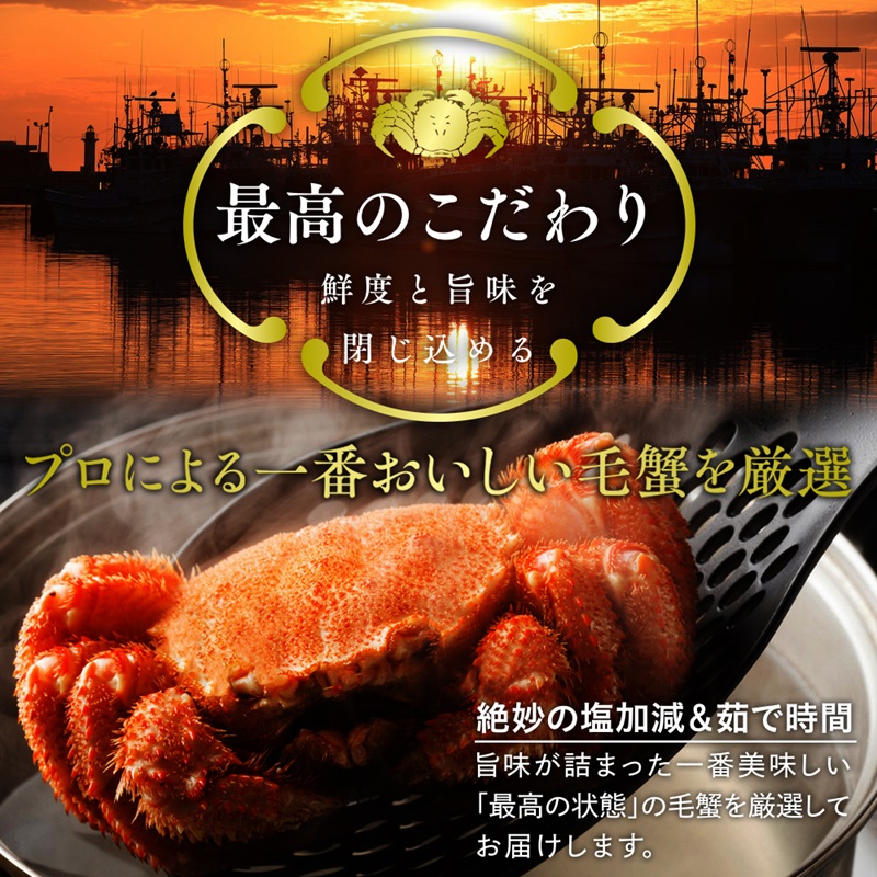 北海道産 毛がに300～350g前後2ハイ（冷凍）【01001101】