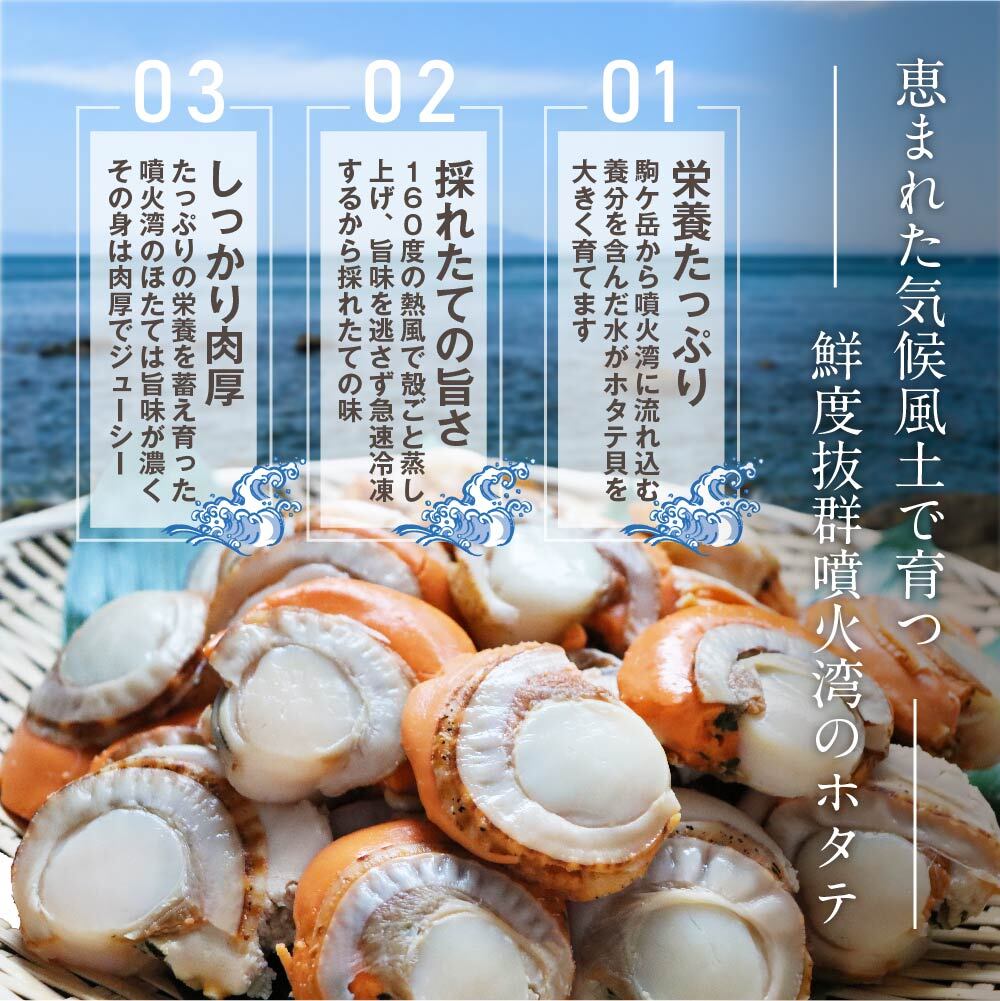 【緊急支援品】【中国禁輸措置生産地緊急支援品】北海道産 蒸しほたて 1.6kg（冷凍） ほたて ホタテ 海鮮 魚介 魚貝 貝 刺身 ふるさと納税 北海道 長万部町 長万部【06002401】