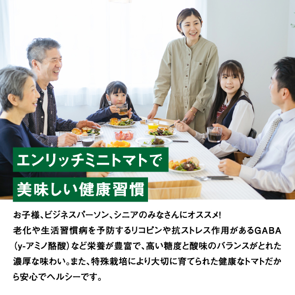 【先行予約】ミニトマト トマトジュース セット エンリッチミニトマト お取り寄せ トマト エンリッチ フルーツトマト フルーツミニトマト 野菜 ジュース 健康 栄養 GABA リコピン ふるさと納税 北海道 長万部町 長万部【070001】