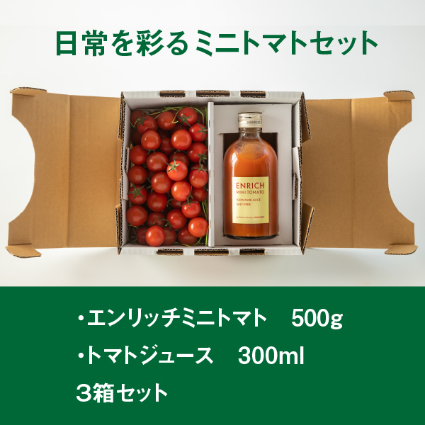 【先行予約】ミニトマト トマトジュース 3箱セット エンリッチミニトマト フルーツトマト フルーツミニトマト お取り寄せ トマト エンリッチ 野菜 ジュース 健康 栄養 GABA リコピン ふるさと納税 北海道 長万部町 長万部【070002】