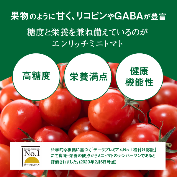 【先行予約】ミニトマト トマトジュース 3箱セット エンリッチミニトマト フルーツトマト フルーツミニトマト お取り寄せ トマト エンリッチ 野菜 ジュース 健康 栄養 GABA リコピン ふるさと納税 北海道 長万部町 長万部【070002】