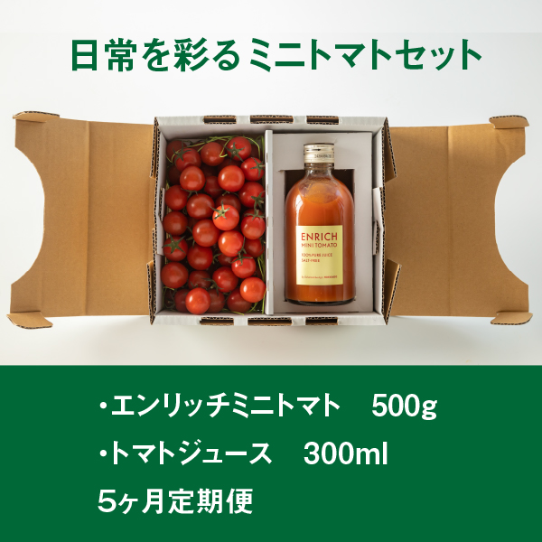 【先行予約】『定期便：全5回』 ミニトマト トマトジュース セット エンリッチミニトマト フルーツトマト フルーツミニトマト トマト 取り寄せ エンリッチ 野菜 ジュース 健康 栄養 定期便  ふるさと納税 北海道 長万部町 長万部【070003】