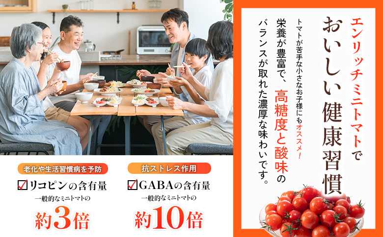 エンリッチミニトマトジュース 300ml×3本セット | オンライン申請 ふるさと納税 北海道 長万部 トマトジュース エンリッチ ミニ トマト 高糖度 フルーツトマト リコピン GABA 無添加 添加剤不使用 美容 健康 安心 新鮮 野菜 ジュース 甘い プレゼント ギフト 贈り物 お取り寄せ ワンストップ マイページ 長万部アグリ 長万部町【070010】