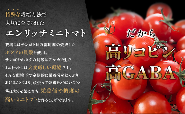 ケチャップセット エンリッチミニトマト1kgとケチャップ210g×1瓶のセット | オンライン申請 ふるさと納税 北海道 長万部 ミニトマト ケチャップ 高糖度 トマト 糖度8以上 フルーツトマト リコピン GABA オムレツ ハンバーグ ピザ ナポリタン 美容 健康 安心 新鮮 野菜 甘い プレゼント ギフト お取り寄せ ワンストップ マイページ 長万部アグリ 長万部町【070016】