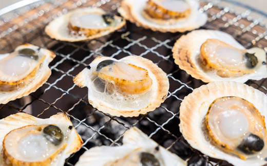 湾宝稚貝のガンガン焼き【170007】
