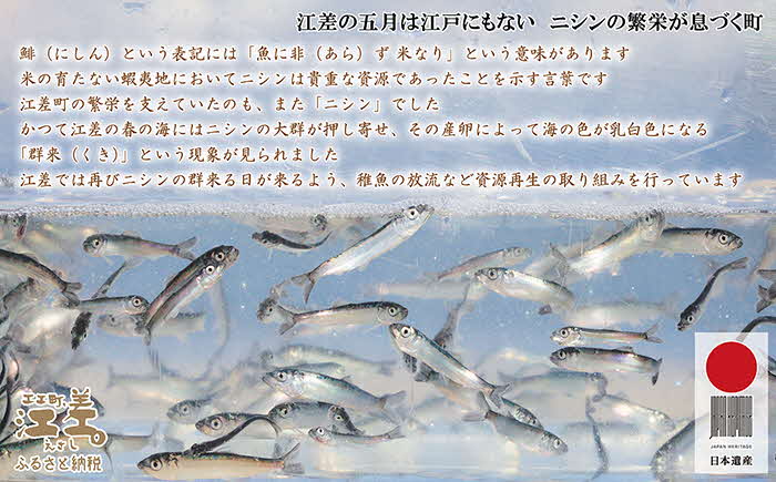  五勝手屋本舗『詰合せ羊羹』（B）流し羊羹3本/丸缶羊羹6本　金時豆のようかん　保存料不使用　五勝手屋羊羹の老舗　和菓子　銘菓　名物　贈答用　ギフト　お中元　お歳暮　お祝い　のし　熨斗