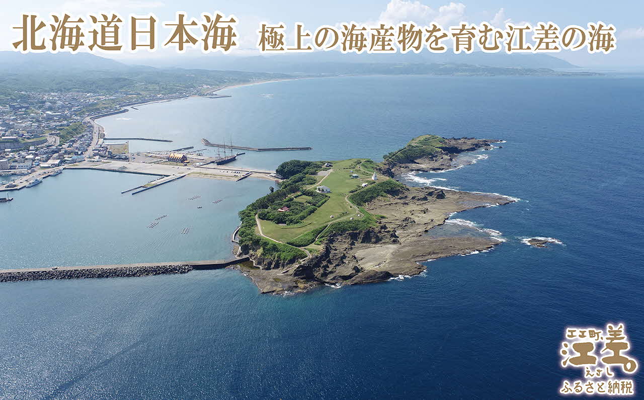 【緊急支援品】『檜山海参石鹸』 3個 北海道産最高級なまこエキスと天然オイル　無香料・無添加・パラベンフリー　肌にやさしい安心安全な天然素材　コールドプロセス製法　豊富なグリセリン分とナマコエキスが肌を守ります