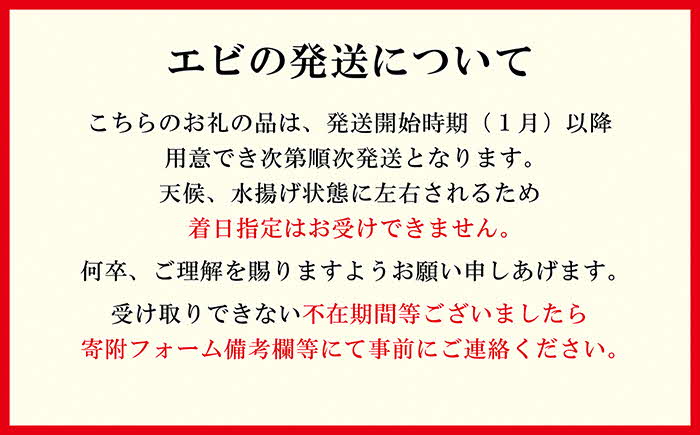 《12月～順次出荷》北海道産 「幻のえび」希少な天然ガサエビ 500g　引き締まった身肉と飽きのこない旨味 濃いエビの味が楽しめます！　国産　江差近海産　天然もの　エビかご漁師直送　最良品厳選　生食可　お刺身　天ぷら　エビフライ　海老