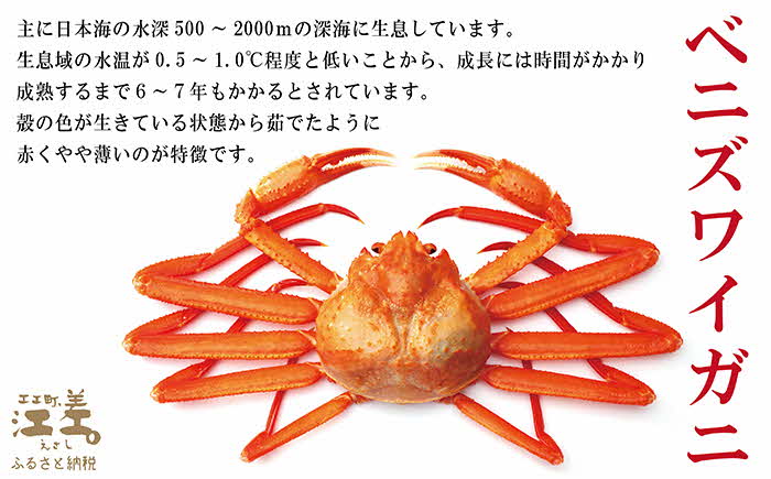 ＼配送時期指定可／『北海道北前蟹』脚むき身（ポーション）500g　北海道日本海産紅ずわいがに　カニかご漁師直販！厳格な鮮度管理で甘くてジューシーな本場の味をお届け　むき身なのではずれなし！　新鮮生冷　かにしゃぶ　しゃぶしゃぶ　かに鍋　国産　かに足　かに脚　北海道産べにずわいがに　ギフト　贈答用