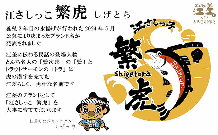 北海道産 スモークサーモン姿切スライス 2箱セット 計500g　250g（50g×5P）×2　　王子サーモン　北海道江差産トラウトサーモン　純国産ブランドサーモン『江さしっこ 繁虎』　燻製　個包装　のし対応可　贈答用　ギフト　お中元　お歳暮　お祝い