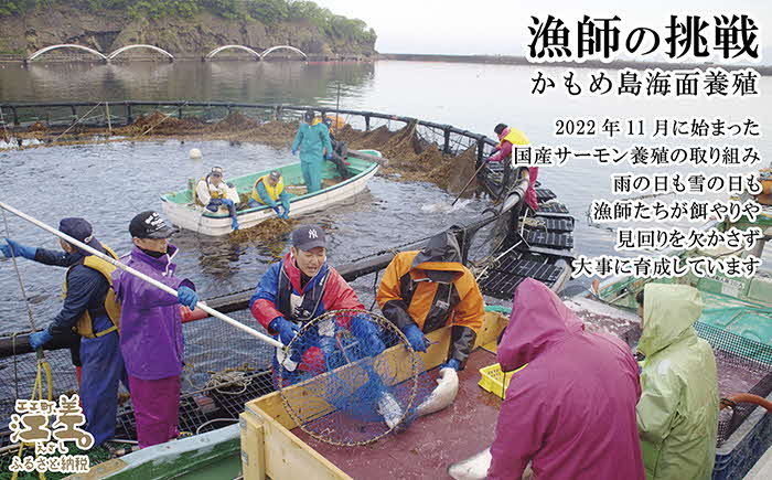 北海道産 スモークサーモンと切り身セット ［スモーク100g（50g×2P）&切り身60g×3切れ（個包装）／化粧箱］　王子サーモン　北海道江差産トラウトサーモン　純国産ブランドサーモン『江さしっこ 繁虎』　燻製　鮭切り身　個包装　のし対応可　贈答用　ギフト　お中元　お歳暮　お祝い