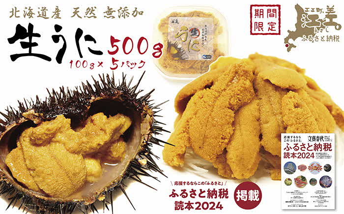 【令和7年発送予約】北海道 江差前浜産 生うに 500g（100g×5パック）【無添加・みょうばん不使用】江差産天然キタムラサキウニ　日本海熊石産海洋深層水　塩水ウニ　素材を生かした自然の味　国産うに　雲丹　100グラムパック個包装