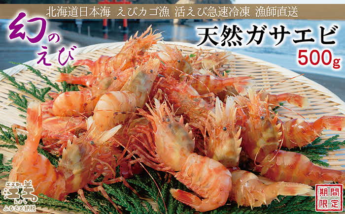 《12月～順次出荷》北海道産 「幻のえび」希少な天然ガサエビ 500g　引き締まった身肉と飽きのこない旨味 濃いエビの味が楽しめます！　国産　江差近海産　天然もの　エビかご漁師直送　最良品厳選　生食可　お刺身　天ぷら　エビフライ　海老