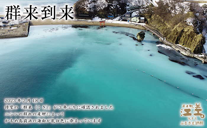 《早期受付2025年春出荷》江差名物にしんそば　江差そば＆トロにしん甘露煮　江差産そば粉と江差前浜産にしん使用　利尻昆布つゆ付き乾そば　国産ニシン　鰊　北海道産　【思いやり型返礼品】