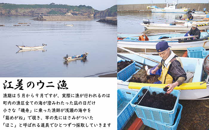 【令和7年発送予約】北海道 江差前浜産 生うに 100g【天然・無添加・みょうばん不使用】江差産キタムラサキウニ　日本海熊石産海洋深層水　塩水ウニ　素材を生かした自然の味　国産うに　雲丹　100グラムパック個包装