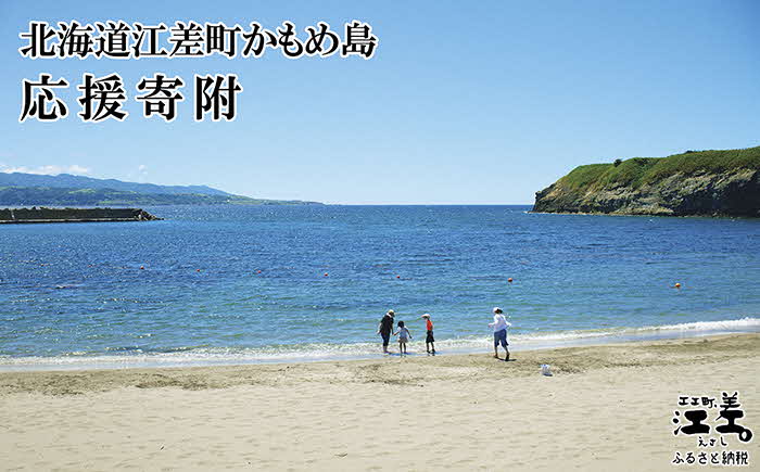 北海道江差町かもめ島応援寄附　江差のシンボル「かもめ島」の環境保全・景観保護・にぎわい創出支援【返礼品なし】