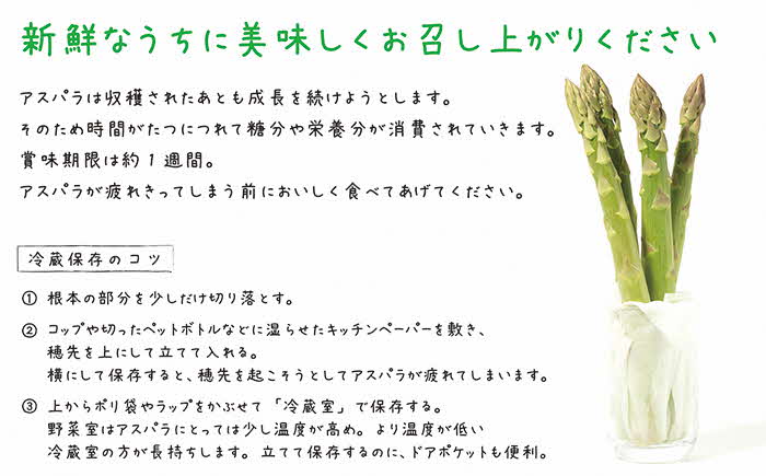 【令和7年発送予約】北海道江差町産 アスパラガス 2kg　L〜2Lサイズ　朝採り　農家直送　太いのに、やわらかい！　甘くて、ジューシー！　食べ応えばつぐん！　グリーンアスパラガス