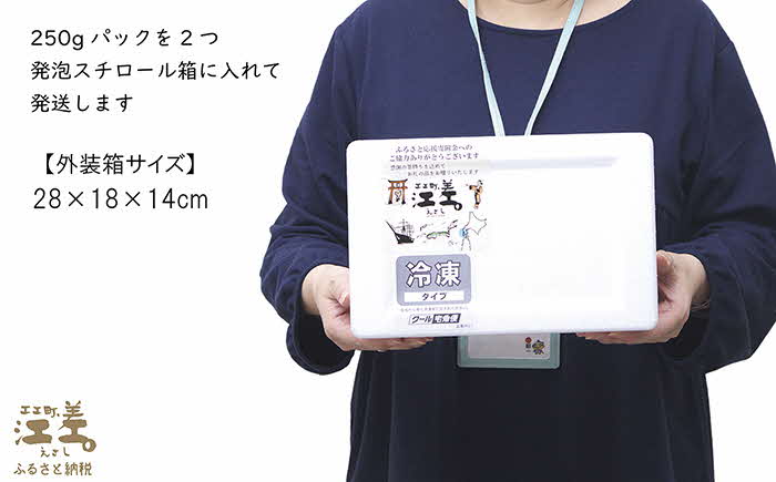 《12月～順次出荷》北海道産 「幻のえび」希少な天然ガサエビ 500g　引き締まった身肉と飽きのこない旨味 濃いエビの味が楽しめます！　国産　江差近海産　天然もの　エビかご漁師直送　最良品厳選　生食可　お刺身　天ぷら　エビフライ　海老