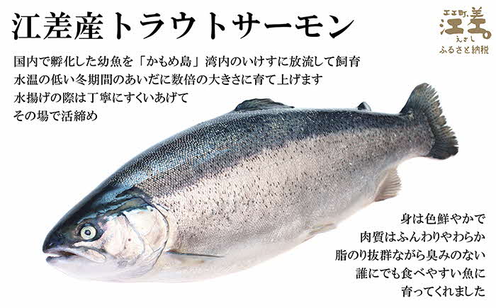 北海道産 スモークサーモン姿切スライス 2箱セット 計500g　250g（50g×5P）×2　　王子サーモン　北海道江差産トラウトサーモン　純国産ブランドサーモン『江さしっこ 繁虎』　燻製　個包装　のし対応可　贈答用　ギフト　お中元　お歳暮　お祝い