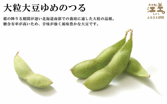 【残り2】北海道産 枝豆の漬物〈江差の豆漬け〉約800g（400g×2パック）　江差産大粒大豆「ゆめのつる」使用　青しそ・みょうが・唐辛子　乳酸発酵　酸味のある漬け物　保存料不使用　着色料不使用　国産　伝統食