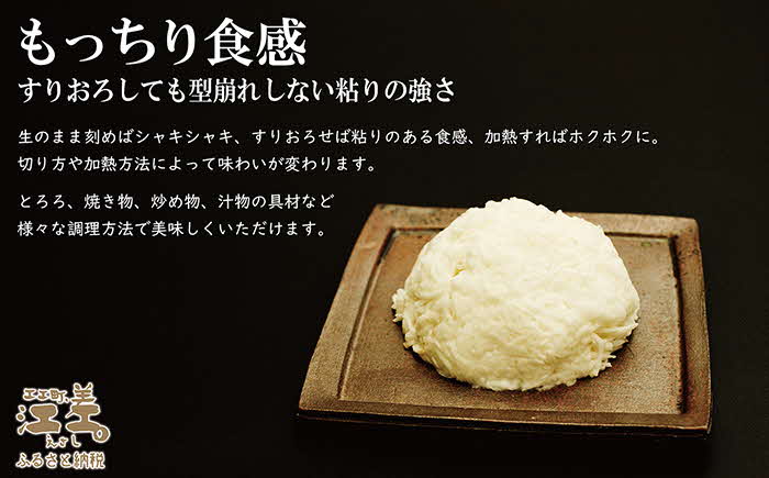 【早期予約！10月順次出荷予定】北海道産 ひらいも  3kg　砂質土育ち とっても粘りが強い 北海道の山芋　もちもち食感　露地もの　無漂白　ねばり芋　やまと芋　長芋　自然薯　山かけ　とろろ　いももち　豚汁