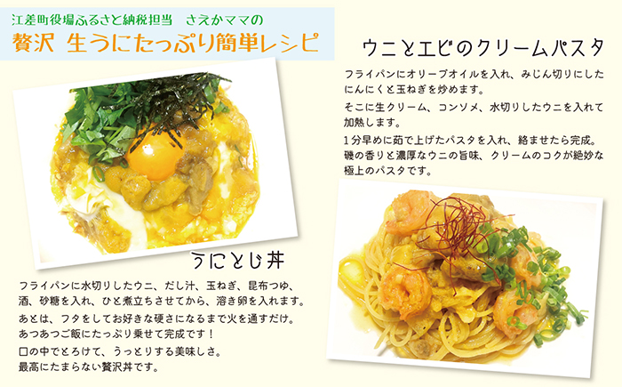 ＼2026年先行予約／北海道 江差前浜産 生うに 500g（100g×5パック）【無添加・みょうばん不使用】令和8年　江差産天然キタムラサキウニ　日本海熊石産海洋深層水　塩水ウニ　素材を生かした自然の味　国産うに　雲丹　100グラムパック個包装