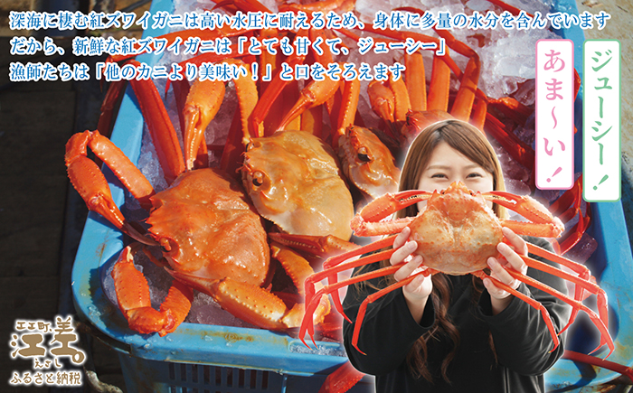 ＼早期予約・2026年3〜4月限定出荷／生発送！【特大】『北海道北前蟹』タグ付き特選 約900g（冷蔵）　年にひと月だけの期間限定「生」出荷　北海道日本海産紅ずわいがに　カニかご漁師直販　厳格な鮮度管理　新鮮　甘くてジューシー　活カニ　生蟹　かに刺し　焼き蟹　蒸し蟹　かにみそ　かにしゃぶ　かに鍋　国産ベニズワイ