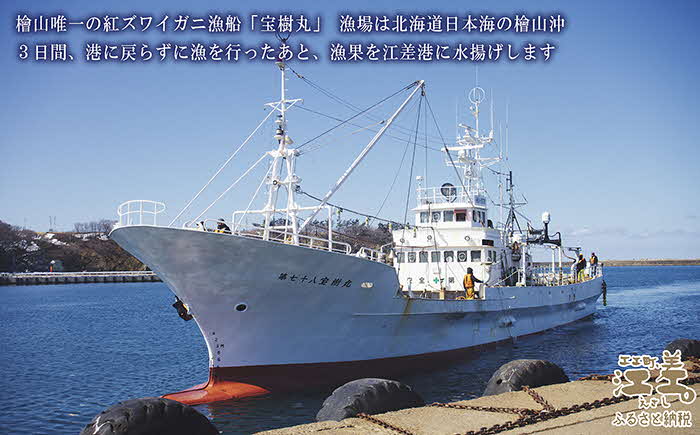 ＼3～4月限定出荷／活発送！【特大】『北海道北前蟹』タグ付き特選 約900g（冷蔵）　年にひと月だけの期間限定「生」出荷　北海道日本海産紅ずわいがに　カニかご漁師直販　厳格な鮮度管理　新鮮　甘くてジューシー　活カニ　生蟹　かに刺し　焼き蟹　蒸し蟹　かにみそ　かにしゃぶ　かに鍋　国産ベニズワイ