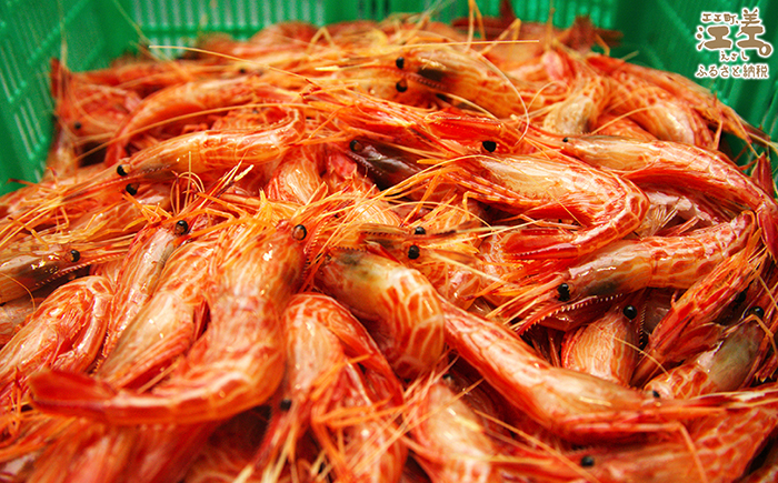 ãæ©æäºçŽã»12æäžæ¬ä»¥é é æ¬¡åºè·äºå®ãåæµ·éç£ éããåããå€©ç¶æ¥æ¬æµ·ã·ããšã äžãµã€ãº 500gãè²é®®ããã§éŠããã æ¿åãªçã¿ é£ã¹ãã°åããæ Œå¥ã®å³ïŒãåœç£ãæ±å·®è¿æµ·ç£ã倩ç¶ãã®ããšãããæŒåž«çŽéãæè¯åå³éžãçé£å¯ããåºèº«ãåæããæµ·è