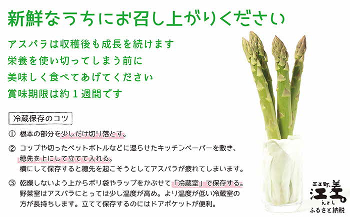 【早期予約 4月から春芽 順次発送】《訳あり》北海道江差町産アスパラガス 1kg【サイズ不揃い・規格外MIX】無選別・規格外・ハネ物・B品　朝採り直送　見た目は良くなくても鮮度や味は正規品と変わりません！　グリーンアスパラガス　旬の味覚　ご自宅用