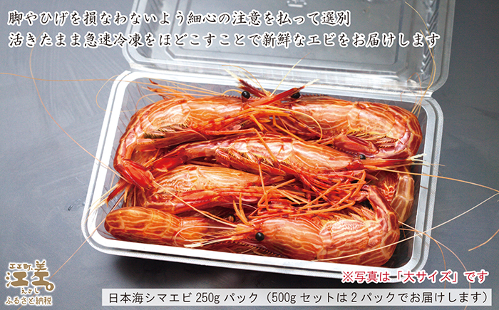 ãæ©æäºçŽã»12æäžæ¬ä»¥é é æ¬¡åºè·äºå®ãåæµ·éç£ éããåããå€©ç¶æ¥æ¬æµ·ã·ããšã äžãµã€ãº 500gãè²é®®ããã§éŠããã æ¿åãªçã¿ é£ã¹ãã°åããæ Œå¥ã®å³ïŒãåœç£ãæ±å·®è¿æµ·ç£ã倩ç¶ãã®ããšãããæŒåž«çŽéãæè¯åå³éžãçé£å¯ããåºèº«ãåæããæµ·è