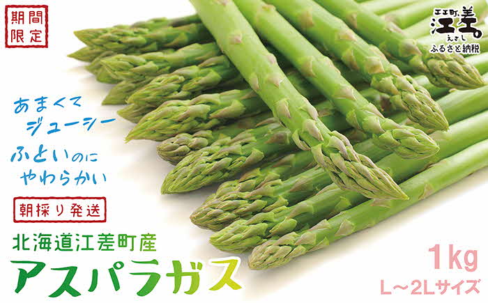 【令和7年発送予約】北海道江差町産 アスパラガス 1kg　L〜2Lサイズ　朝採り　農家直送　太い！甘くて、ジューシー！　食べ応えばつぐん！　グリーンアスパラガス