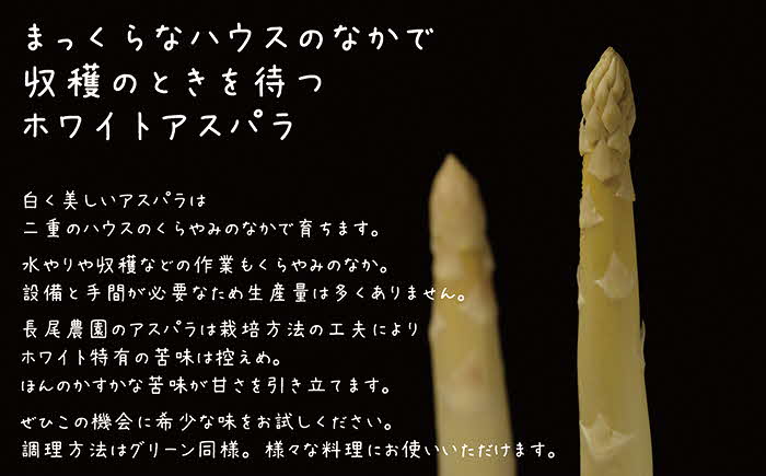 【早期予約・数量限定　4月～5月初旬出荷予定】北海道産 「春」のアスパラ２色食べくらべセット 計1kg　ホワイトアスパラ 500g ＆ グリーンアスパラ 500g　L〜2Lサイズ　朝採り　農家直送　アスパラガス