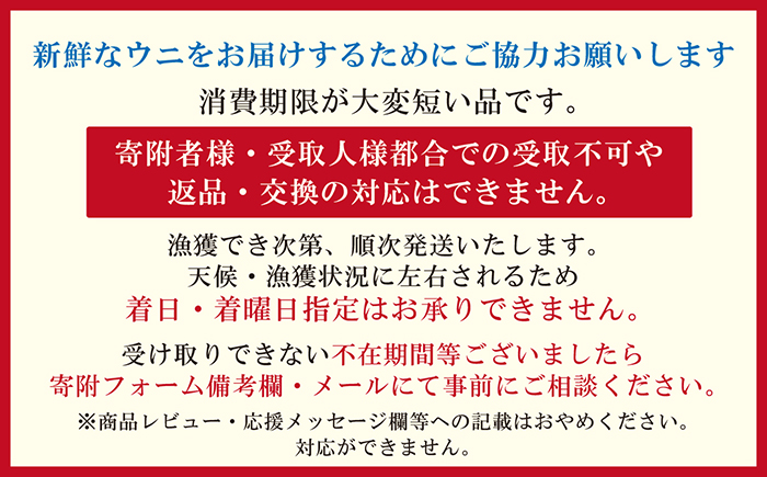 ＼2026年先行予約／北海道 江差前浜産 生うに 100g【天然・無添加・みょうばん不使用】令和8年　江差産キタムラサキウニ　日本海熊石産海洋深層水　塩水ウニ　素材を生かした自然の味　国産うに　雲丹　100グラムパック個包装