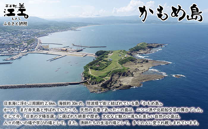 北海道江差町かもめ島応援寄附　江差のシンボル「かもめ島」の環境保全・景観保護・にぎわい創出支援【返礼品なし】