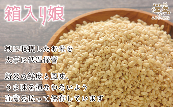 å¥çŽèŸ²å®¶æ œå¹ æ±å·®è¿œåç±³ããµã£ãããããã5kgã什å7幎ç£ã2025幎ç£ãåæµ·éæ±å·®çºç£ãåæµ·éç±³ãçœç±³ã粟米ããç±³ããããããããã飯ããã¯ãã蟲家çŽéãåäžåæç±³ããã©ã³ãç±³ããµã£ãã飿ãããã¡ããçã