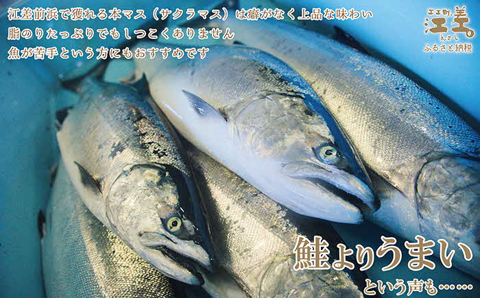 北海道日本海産 天然さくらますの糠漬け 9切れ（3切入×3パック）　ぬか漬け熟成　うま味凝縮　漁師直送　浜のかあさん手づくり　新鮮急速冷凍　サクラマス　桜鱒　サーモン　　