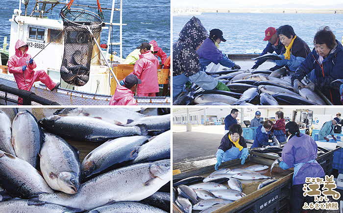 【数量限定】北海道産 サーモン切り身（塩）9切れ　小分けの食べ切りサイズ個包装　純国産ブランドサーモン『江さしっこ 繁虎』　「浜のかあさん」手作り　活締め加工　新鮮真空パック冷凍　保存料不使用　北海道江差産トラウトサーモン　塩鮭　焼き鮭