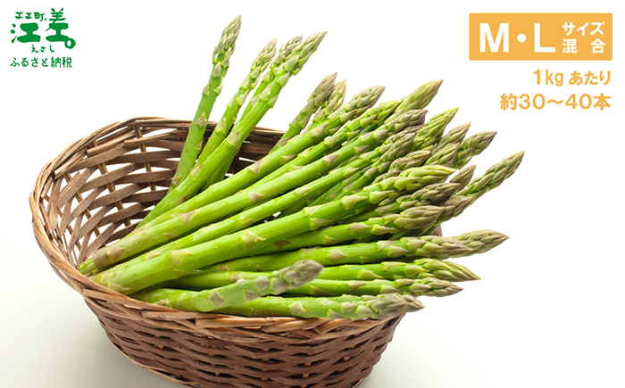 ＼春アスパラ 先行予約 2026年4月〜順次出荷予定／北海道江差町産 アスパラガス【S〜Mサイズ】 1kg　40〜50本　朝採り　農家直送　新鮮　鮮度保持　北海道　旬野菜　グリーンアスパラ　アスパラ　ギフト　贈答