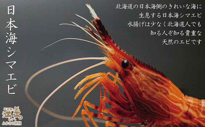 ãæ©æäºçŽã»12æäžæ¬ä»¥é é æ¬¡åºè·äºå®ãåæµ·éç£ éããåããå€©ç¶æ¥æ¬æµ·ã·ããšã äžãµã€ãº 500gãè²é®®ããã§éŠããã æ¿åãªçã¿ é£ã¹ãã°åããæ Œå¥ã®å³ïŒãåœç£ãæ±å·®è¿æµ·ç£ã倩ç¶ãã®ããšãããæŒåž«çŽéãæè¯åå³éžãçé£å¯ããåºèº«ãåæããæµ·è